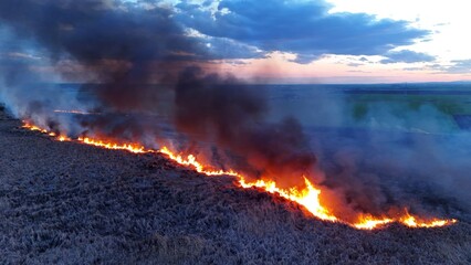 A fire in the field