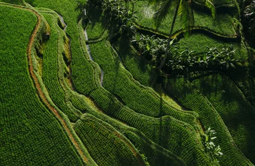 Zelfklevend Fotobehang Aerial drone view of the rice terraces in Bali. Wanderlust travel concept © oneinchpunch