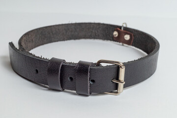 Leather dog belt on white background, product photography