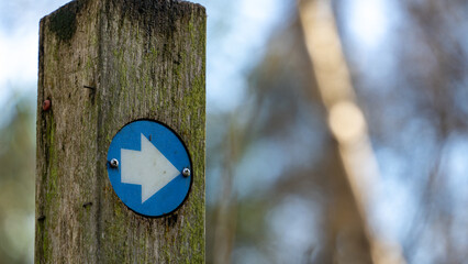 Blue arrow way marker sign on a trail
