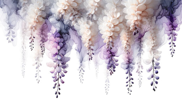 Wisteria flowers watercolor and alcohol ink paint white and soft purple colors isolated on white background with copy space for text for banner in concept floral background.