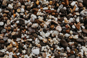 Sea stones of different colors on the shore in close-up