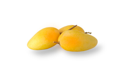 Delicious fresh mangos isolated