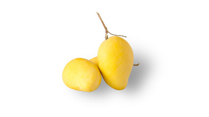 Freshness sweet ripe mangos