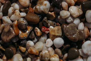 Sea stones of different colors on the shore in close-up
