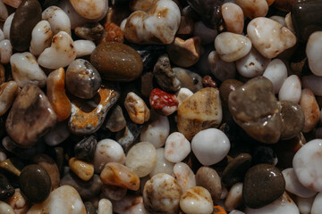 Sea stones of different colors on the shore in close-up
