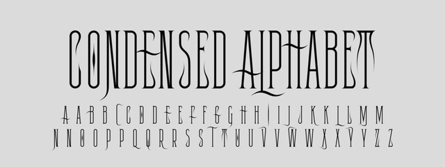 Vector Double Set Of Letters. Latin Elegant Condensed Serif Alphabet With Swashes and Flourishes. Typography Modern Narrow Font.