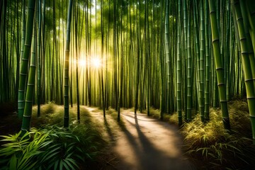 A serene bamboo forest with sunlight filtering through dense foliage, casting enchanting patterns on the ground.
