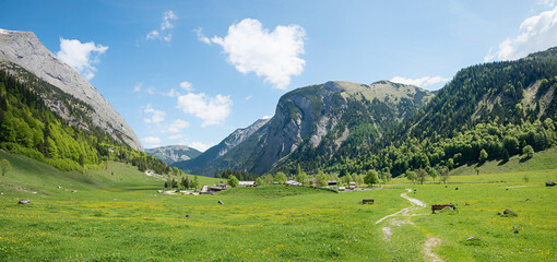 stunning spring landscape with green pasture, Eng tyrol, with heart shaped cloud
