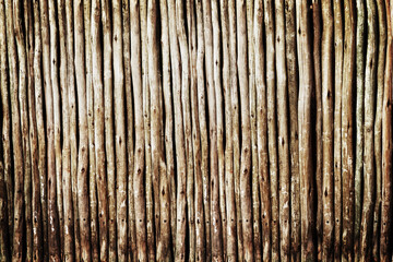 Wood, log and stick for timber, pattern and lines for texture and bamboo for wallpaper and earth on closeup. Lumber and firewood together for brown, raw and natural for botany, eco and solid