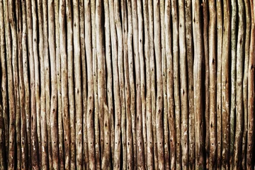 Gordijnen Wood, log and stick for timber, pattern and lines for texture and bamboo for wallpaper and earth on closeup. Lumber and firewood together for brown, raw and natural for botany, eco and solid © Thurstan Hinrichsen/peopleimages.com