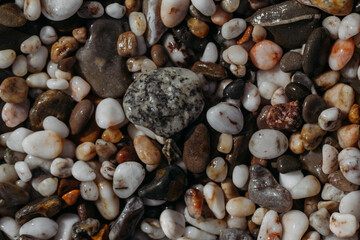 Sea stones of different colors on the shore in close-up
