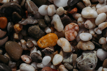 Sea stones of different colors on the shore in close-up
