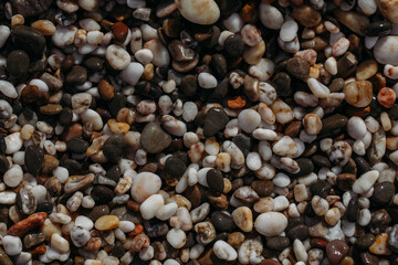 Sea stones of different colors on the shore in close-up
