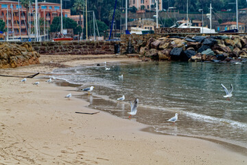 Beach and sea on the French Riviera