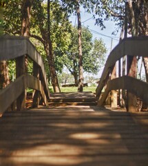 bridge over botanical park