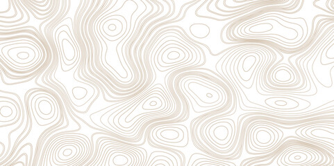 Topographic map background Grid map Contour Vector illustration. Wallpaper with topographic map style