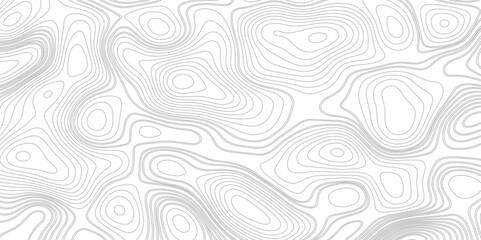 Topographic map background Grid map Contour Vector illustration. Top view topographic grey lines background