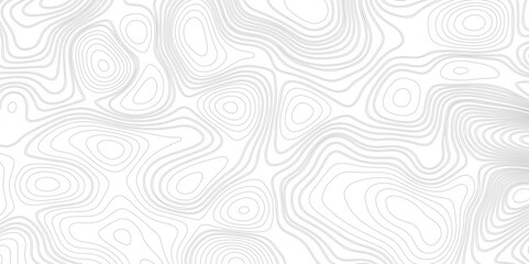 Topographic map background Grid map Contour Vector illustration. Top view topographic grey lines background