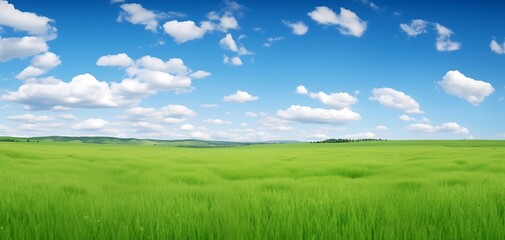 green meadows with beutyfull blue sky and white clouds in day ligth for background - obrazy, fototapety, plakaty