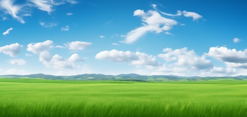 green meadows with beutyfull blue sky and white clouds in day ligth for background - obrazy, fototapety, plakaty