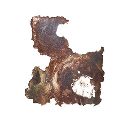 Obraz premium Rust Texture Close-up