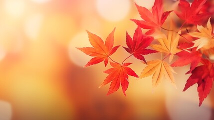 Naklejka na ściany i meble Autumn forest leaves
