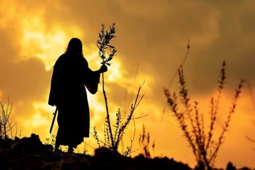 Silhouette of Jesus Christ holding an olive branch, standing in a war-torn landscape, symbolizing peace and reconciliation. - obrazy, fototapety, plakaty