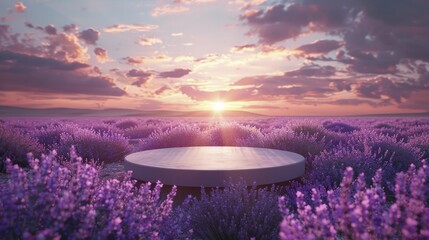 Capture the essence of nature with a stunning display featuring a Radiant Sunlight Podium against a Lavender Field at Sunrise backdrop. - obrazy, fototapety, plakaty
