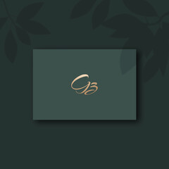 Gz logo design vector image