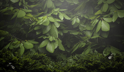 green plants background - 3D Illustration