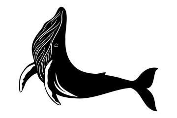 whale vector