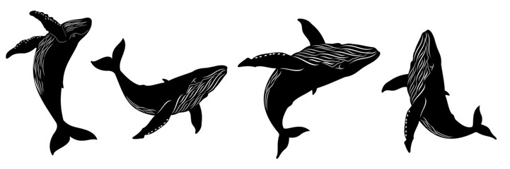 whale vector © Is