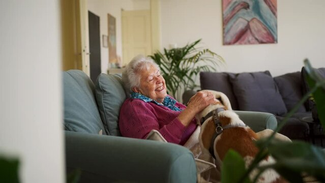 Elderly woman reading book, sitting in armchair, dog lying by her. Dog as companion for senior people.