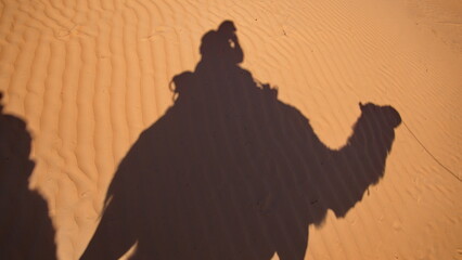 Shadow of a dromedary camel (Camelus dromedarius) on a camel trek in the Sahara Desert, outside of...