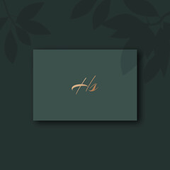 Hs logo design vector image