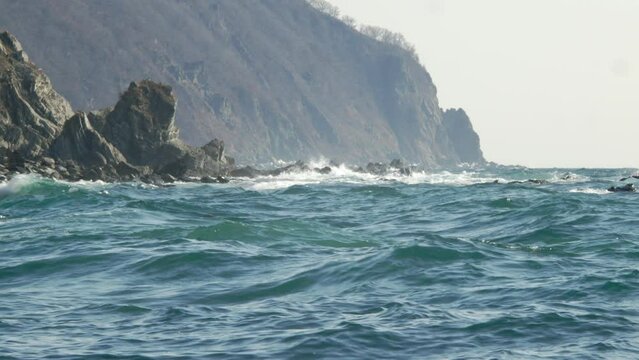 The bleak cliffs of the seashore