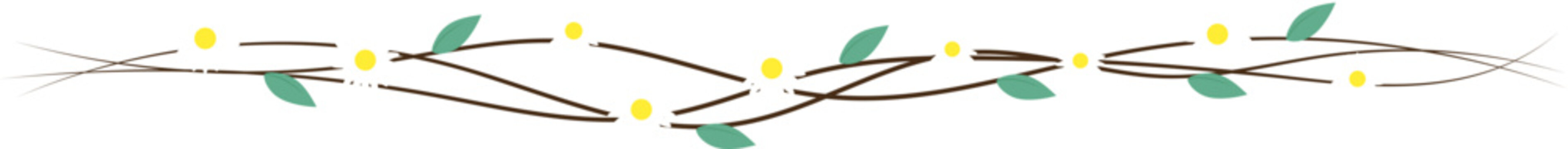 Daisies flower branch divider