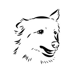 Scenes of dog training with cartoon characters of man and his pet learning various commands