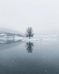 Reflective Winter Solitude with Tree on Water in the Snow. Illustration of Winter Beauty and Peace. Generative AI.
