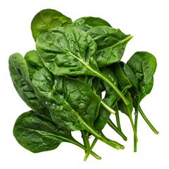 Fresh spinach leaves isolated, cut out transparent