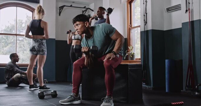Multiethnic young male does dumbbell curls while seated in gym