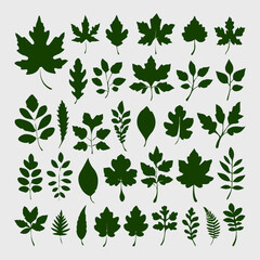 Fototapeta na wymiar oak leaf silhouette set
