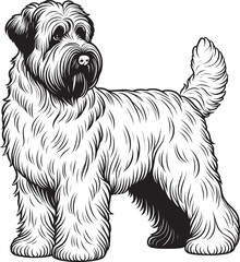 Black and White Vector Illustration of a Bouvier des Flandres Dog