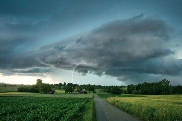 The verdant field lies beneath the approaching storm, its lush greenery poised to receive the...