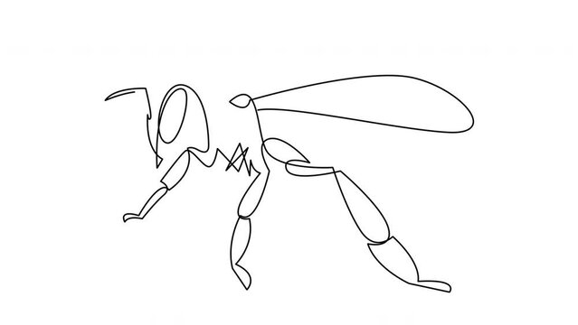 Animated one continuous line drawing of bee. Single line animation of organic honey farm icon concept, wasp animal.