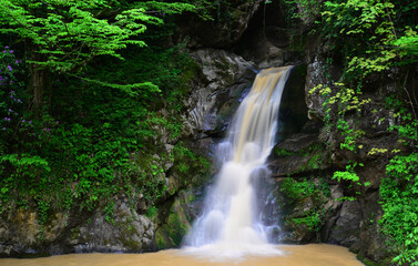 A view from Sarıyayla Waterfall in Akcakoca, Duzce, Turkey