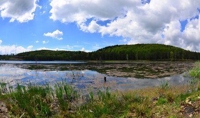 Topuk Plateau, located in Duzce, Turkey, is a natural wonder. Fenerbahce Sports Club has facilities here.