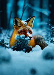 Fotobehang lynx in the snow © Saqib