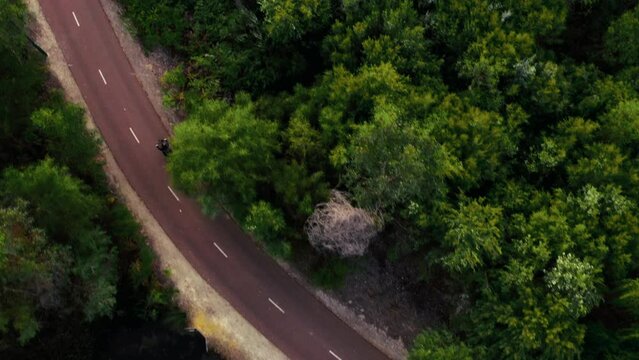 A lone cyclist traverses a winding park road surrounded by dense greenery, captured from above as the day fades.